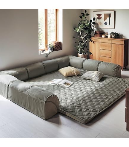 Amazon｜Donext ソファ ソファーベッド 2人掛け 幅167×奥行77.5×高さ